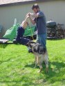 DSC03240.jpg